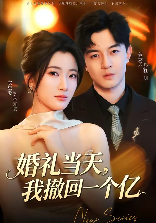 婚礼当天，我撤回一个亿封面图