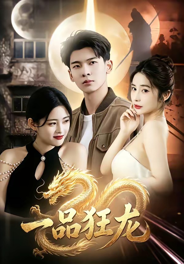 一品狂龙封面图