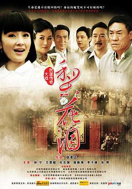 梨花泪封面图