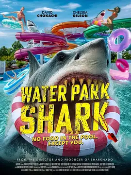 Water Park Shark封面图