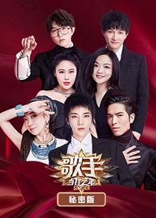 歌手·当打之年 秘密版封面图