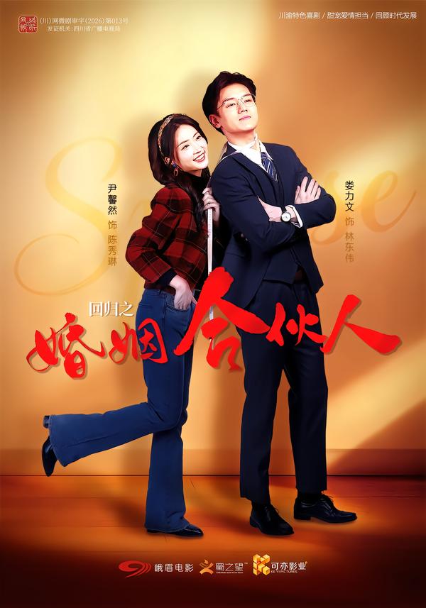 回归之婚姻合伙人封面图