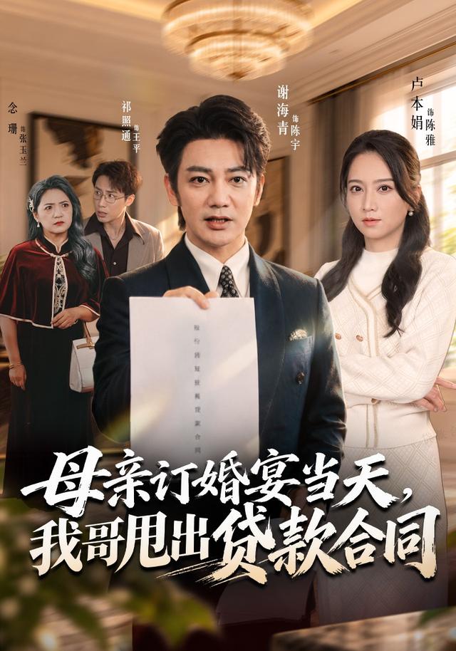 母亲订婚宴当天,我哥甩出贷款合同封面图