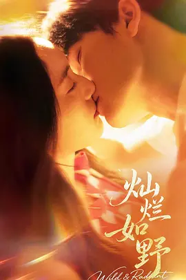 灿烂如野封面图
